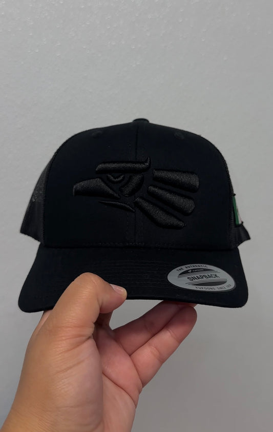 Mexico 3D Puff Embroidered Hat