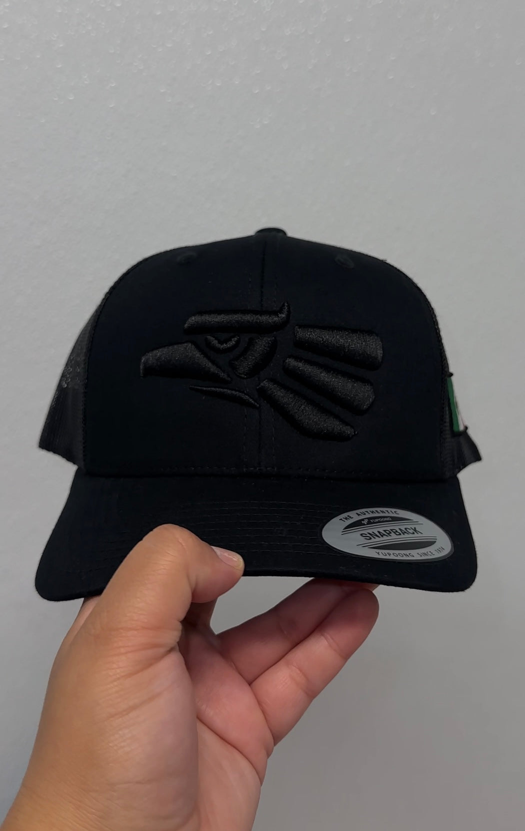 Mexico 3D Puff Embroidered Hat