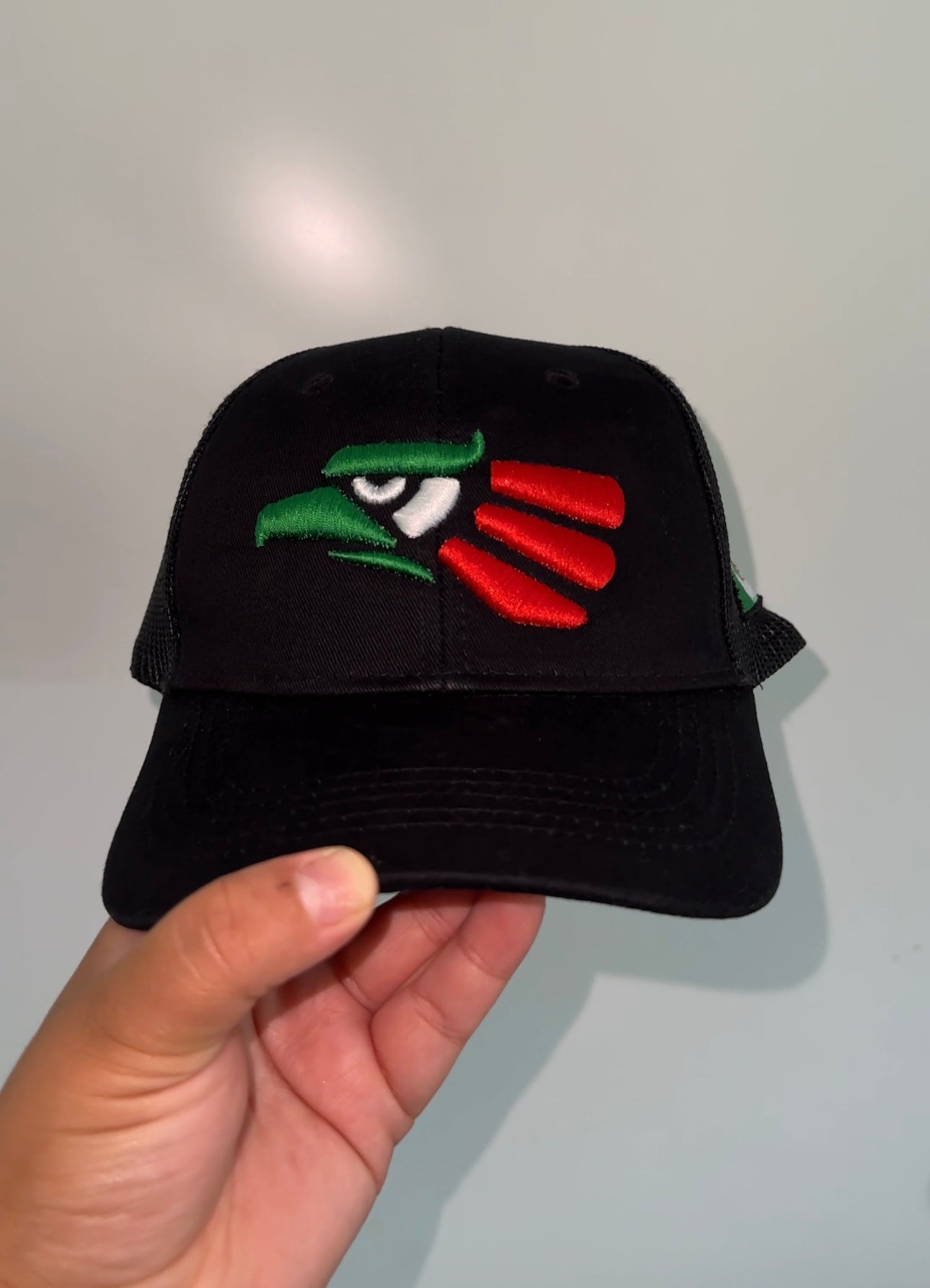 Mexico Tricolor 3D Puff Embroidered Hat