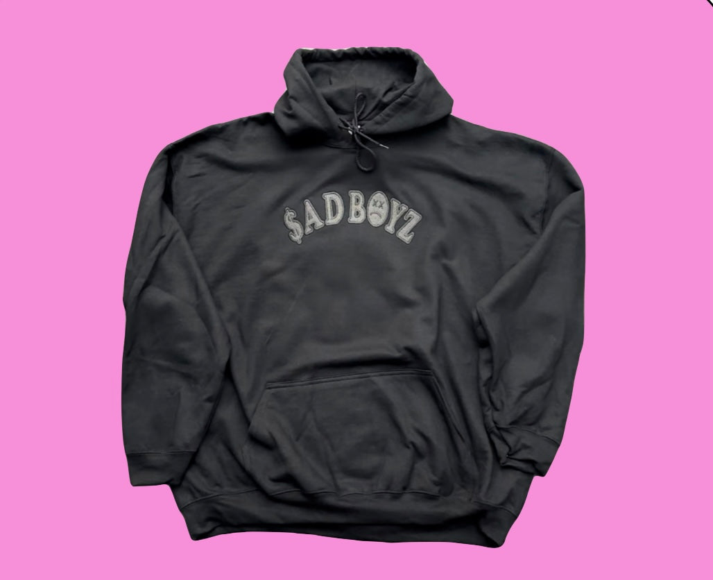 $AD BOYZ 2 HOODIE ( SHINY BLACK LETTERS)