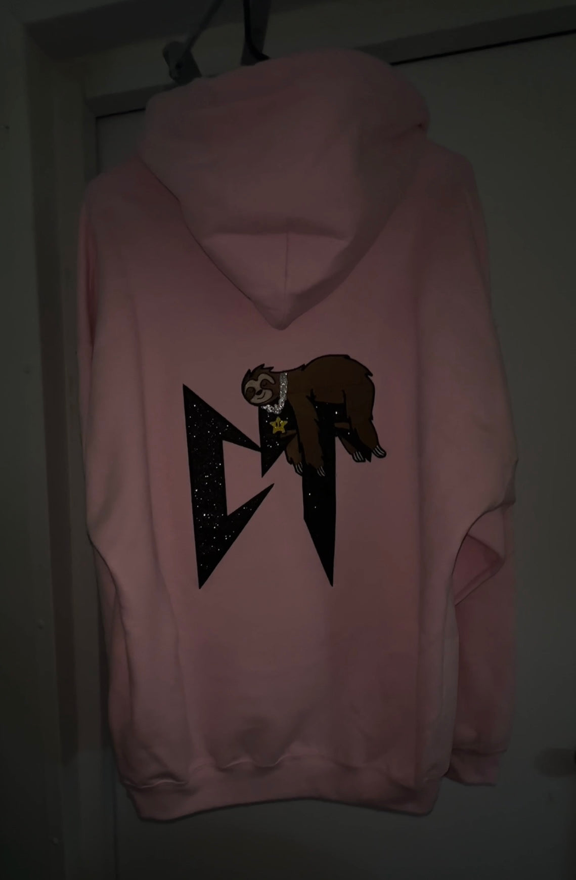 CT 🦥⭐️ Hoodie
