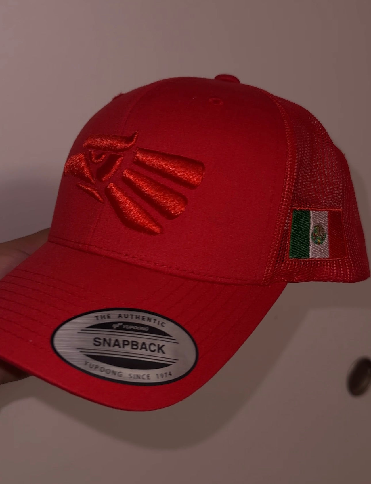 Mexico 3D Puff Embroidered Hat